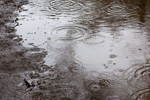 雨天中止